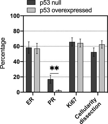 The fading guardian: clinical relevance of TP53 null mutation in high-grade serous ovarian cancers